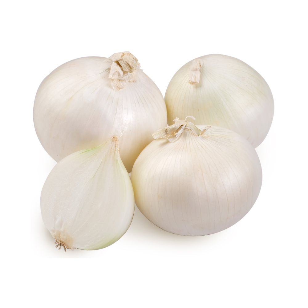 Лук белый